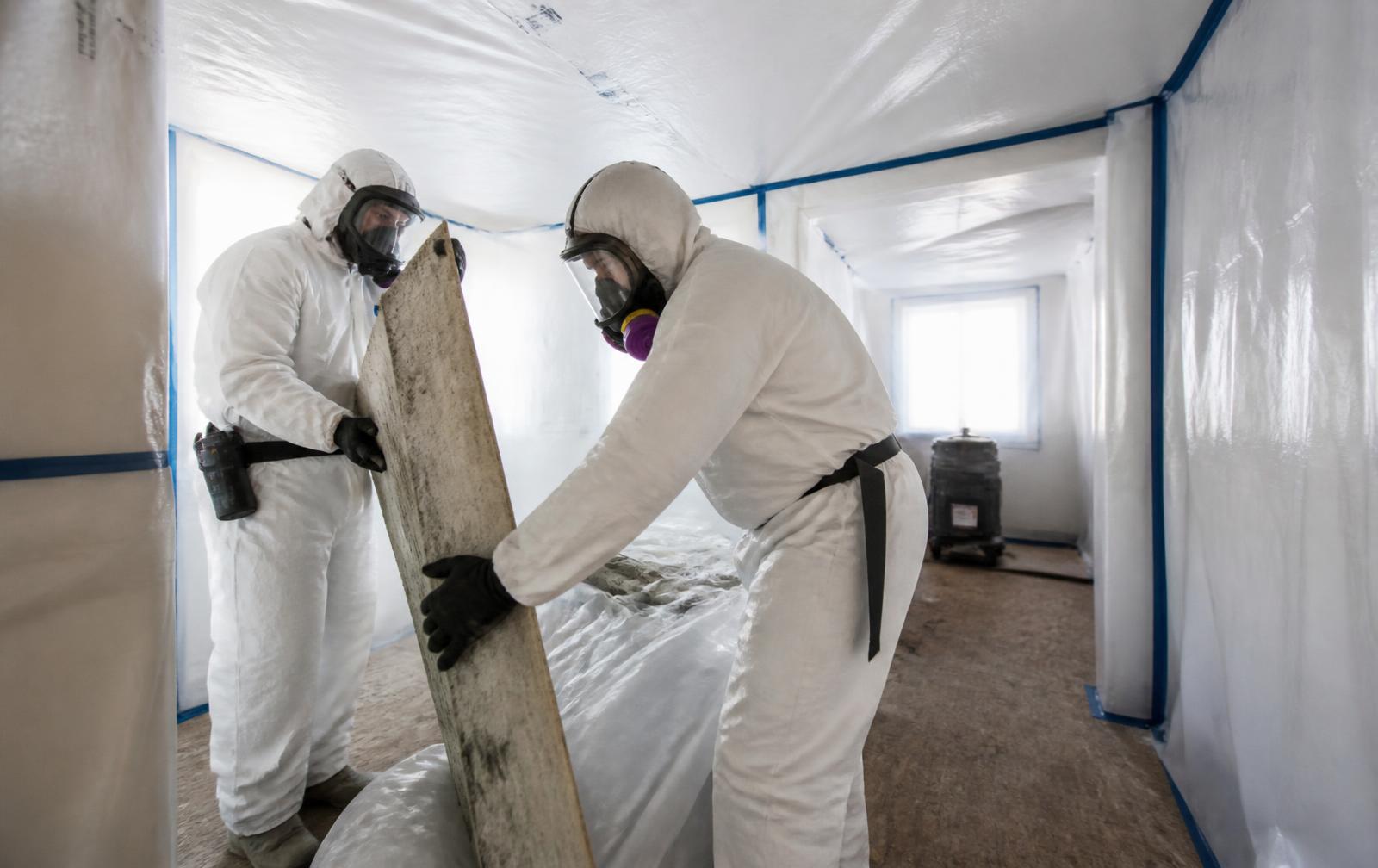 Asbestos Abatement